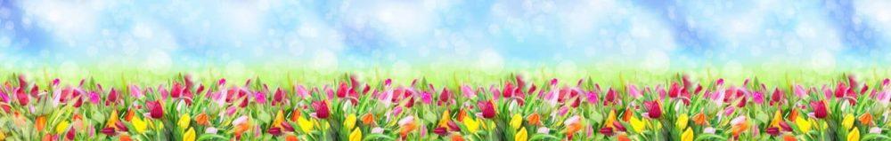 <span  class="uc_style_uc_tiles_grid_image_elementor_uc_items_attribute_title" style="color:#ffffff;">skinali 2114</span>