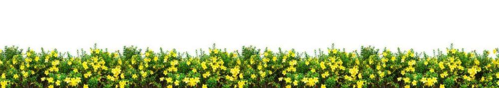<span  class="uc_style_uc_tiles_grid_image_elementor_uc_items_attribute_title" style="color:#ffffff;">skinali 2127</span>