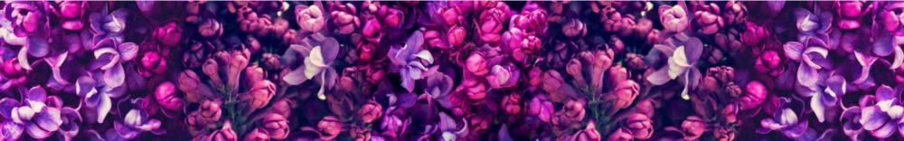 <span  class="uc_style_uc_tiles_grid_image_elementor_uc_items_attribute_title" style="color:#ffffff;">skinali 2233</span>