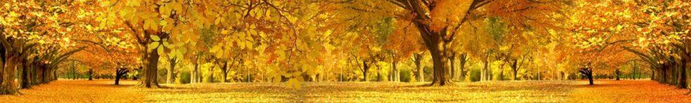 <span  class="uc_style_uc_tiles_grid_image_elementor_uc_items_attribute_title" style="color:#ffffff;">skinali 2353</span>