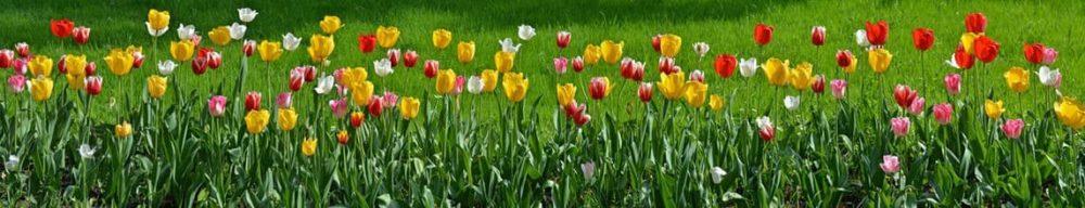 <span  class="uc_style_uc_tiles_grid_image_elementor_uc_items_attribute_title" style="color:#ffffff;">skinali 2660</span>