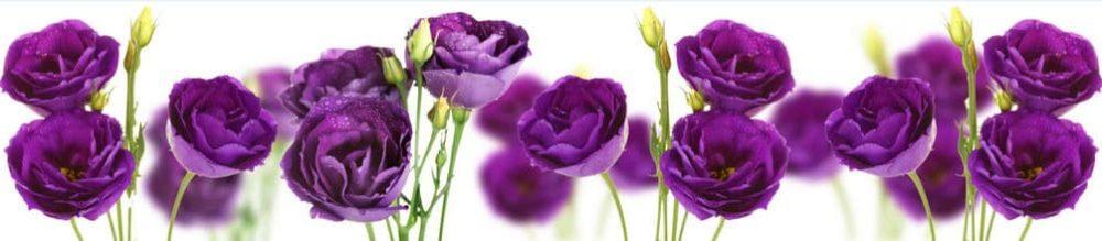 <span  class="uc_style_uc_tiles_grid_image_elementor_uc_items_attribute_title" style="color:#ffffff;">skinali 2743</span>