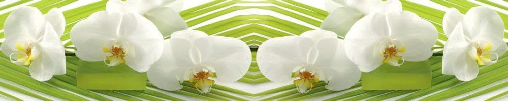 <span  class="uc_style_uc_tiles_grid_image_elementor_uc_items_attribute_title" style="color:#ffffff;">skinali 2807</span>