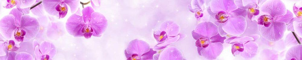 <span  class="uc_style_uc_tiles_grid_image_elementor_uc_items_attribute_title" style="color:#ffffff;">skinali 2880</span>