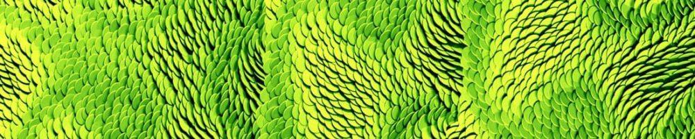<span  class="uc_style_uc_tiles_grid_image_elementor_uc_items_attribute_title" style="color:#ffffff;">skinali 2887</span>