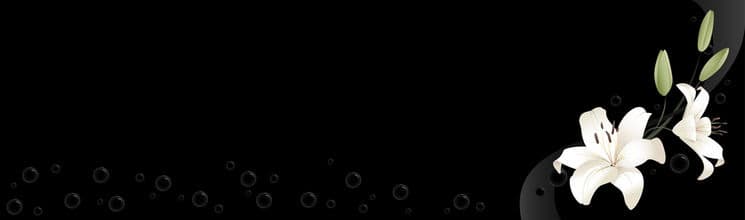 <span  class="uc_style_uc_tiles_grid_image_elementor_uc_items_attribute_title" style="color:#ffffff;">skinali 2935</span>