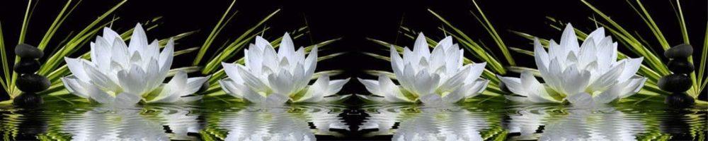 <span  class="uc_style_uc_tiles_grid_image_elementor_uc_items_attribute_title" style="color:#ffffff;">skinali 2975</span>