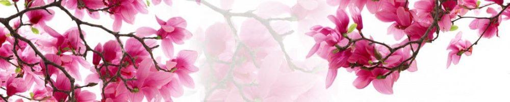 <span  class="uc_style_uc_tiles_grid_image_elementor_uc_items_attribute_title" style="color:#ffffff;">skinali 3016</span>