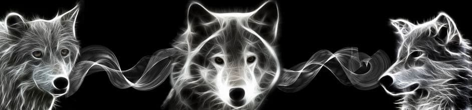 <span  class="uc_style_uc_tiles_grid_image_elementor_uc_items_attribute_title" style="color:#ffffff;">skinali 3047</span>