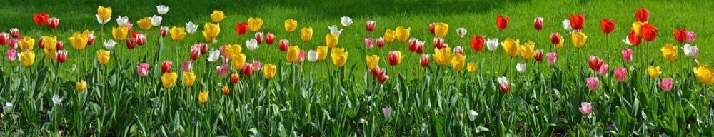 <span  class="uc_style_uc_tiles_grid_image_elementor_uc_items_attribute_title" style="color:#ffffff;">skinali 3340</span>
