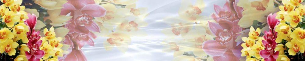 <span  class="uc_style_uc_tiles_grid_image_elementor_uc_items_attribute_title" style="color:#ffffff;">skinali 3423</span>