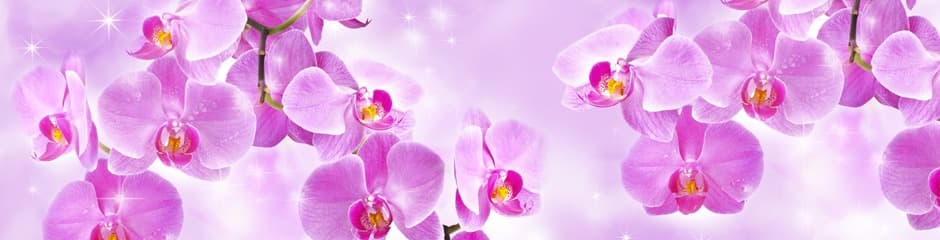 <span  class="uc_style_uc_tiles_grid_image_elementor_uc_items_attribute_title" style="color:#ffffff;">skinali 3441</span>