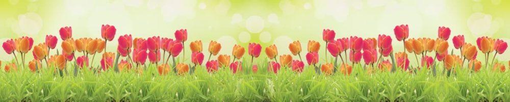 <span  class="uc_style_uc_tiles_grid_image_elementor_uc_items_attribute_title" style="color:#ffffff;">skinali 3581</span>