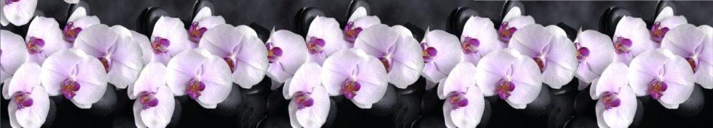 <span  class="uc_style_uc_tiles_grid_image_elementor_uc_items_attribute_title" style="color:#ffffff;">skinali 3591</span>