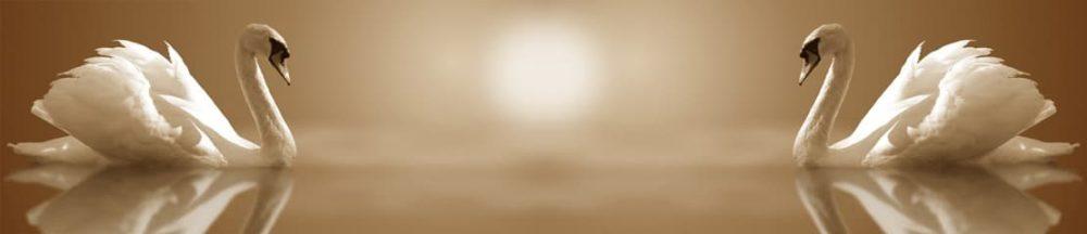 <span  class="uc_style_uc_tiles_grid_image_elementor_uc_items_attribute_title" style="color:#ffffff;">skinali 3644</span>