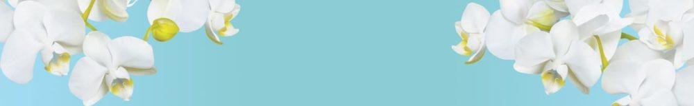 <span  class="uc_style_uc_tiles_grid_image_elementor_uc_items_attribute_title" style="color:#ffffff;">skinali 3695</span>
