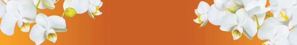 <span  class="uc_style_uc_tiles_grid_image_elementor_uc_items_attribute_title" style="color:#ffffff;">skinali 3696</span>