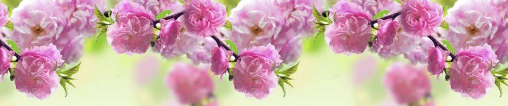 <span  class="uc_style_uc_tiles_grid_image_elementor_uc_items_attribute_title" style="color:#ffffff;">skinali 3698</span>