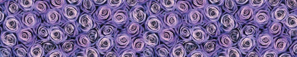<span  class="uc_style_uc_tiles_grid_image_elementor_uc_items_attribute_title" style="color:#ffffff;">skinali 3706</span>