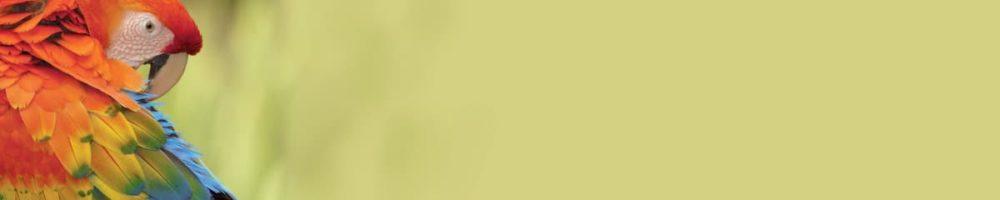 <span  class="uc_style_uc_tiles_grid_image_elementor_uc_items_attribute_title" style="color:#ffffff;">skinali 3777</span>
