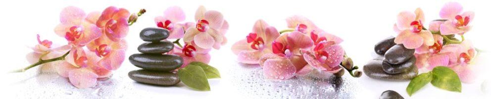<span  class="uc_style_uc_tiles_grid_image_elementor_uc_items_attribute_title" style="color:#ffffff;">skinali 3789</span>