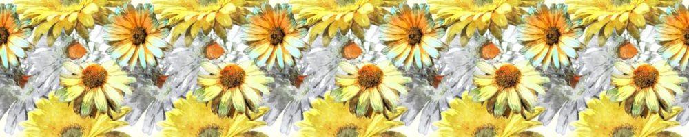 <span  class="uc_style_uc_tiles_grid_image_elementor_uc_items_attribute_title" style="color:#ffffff;">skinali 3857</span>