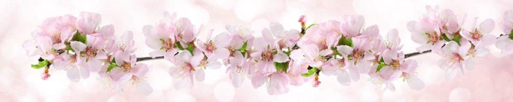<span  class="uc_style_uc_tiles_grid_image_elementor_uc_items_attribute_title" style="color:#ffffff;">skinali 3885</span>