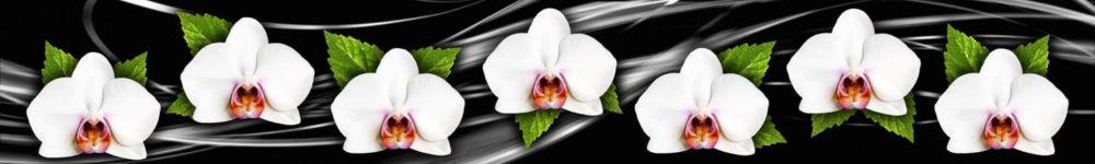 <span  class="uc_style_uc_tiles_grid_image_elementor_uc_items_attribute_title" style="color:#ffffff;">skinali 3902</span>