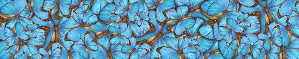 <span  class="uc_style_uc_tiles_grid_image_elementor_uc_items_attribute_title" style="color:#ffffff;">skinali 3973</span>