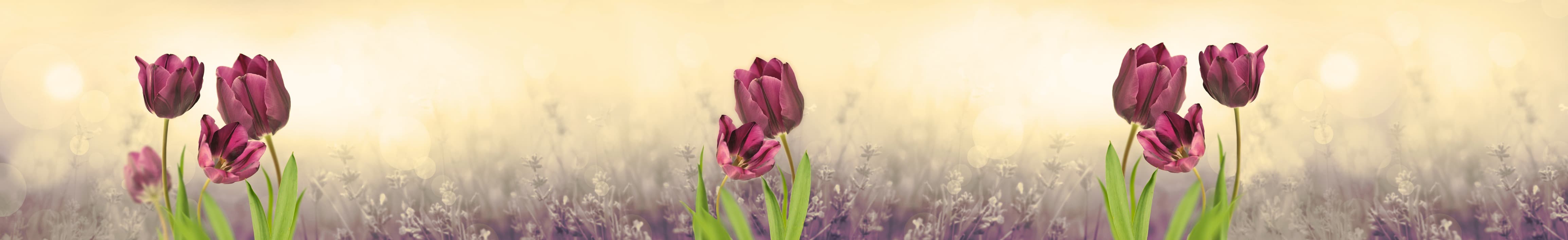 <span  class="uc_style_uc_tiles_grid_image_elementor_uc_items_attribute_title" style="color:#ffffff;">skinali-4063</span>