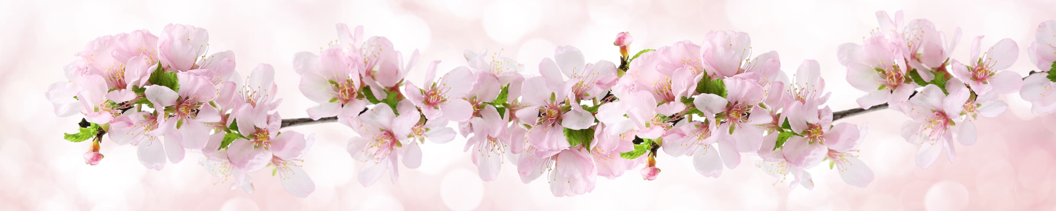 <span  class="uc_style_uc_tiles_grid_image_elementor_uc_items_attribute_title" style="color:#ffffff;">skinali-4068</span>