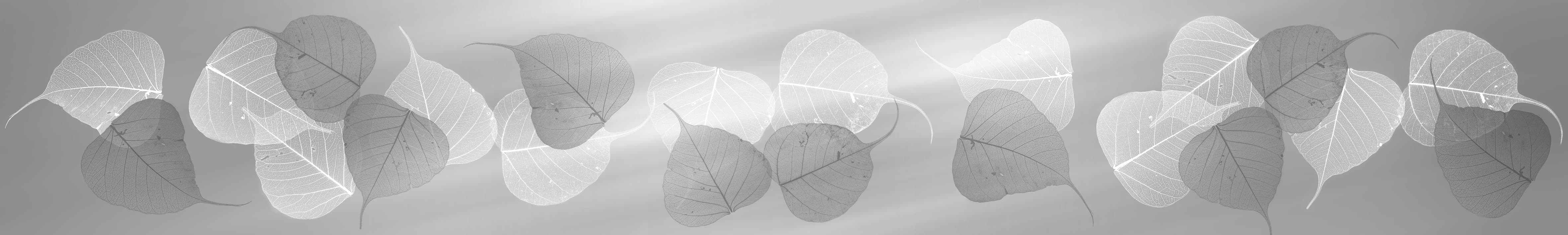 <span  class="uc_style_uc_tiles_grid_image_elementor_uc_items_attribute_title" style="color:#ffffff;">skinali-4098</span>