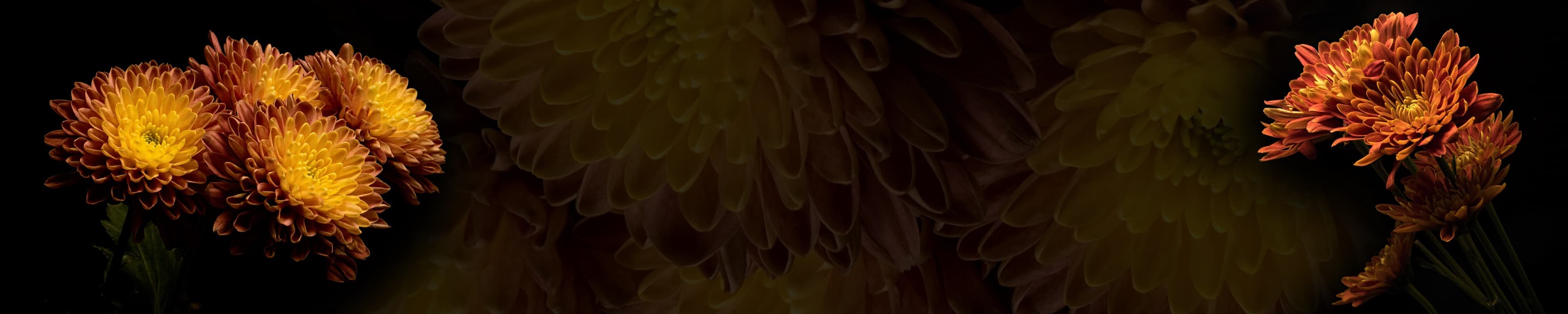 <span  class="uc_style_uc_tiles_grid_image_elementor_uc_items_attribute_title" style="color:#ffffff;">skinali-4123</span>