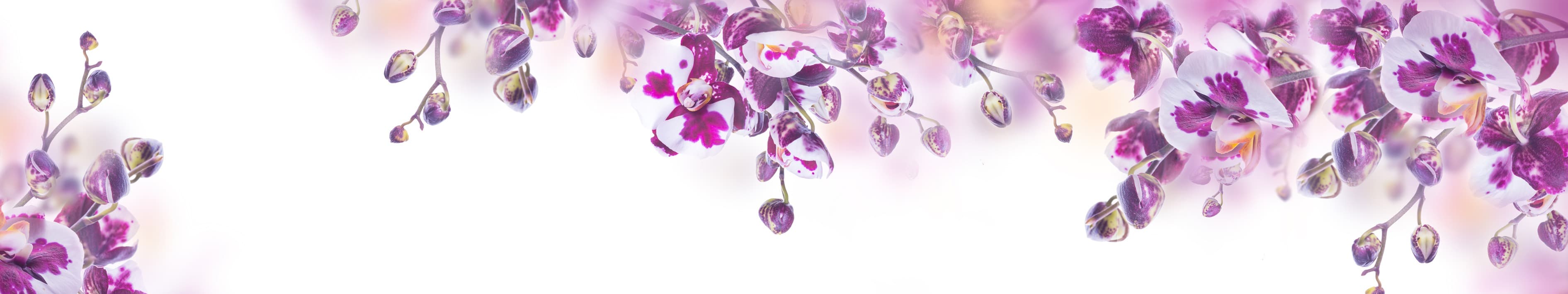 <span  class="uc_style_uc_tiles_grid_image_elementor_uc_items_attribute_title" style="color:#ffffff;">skinali-4231</span>