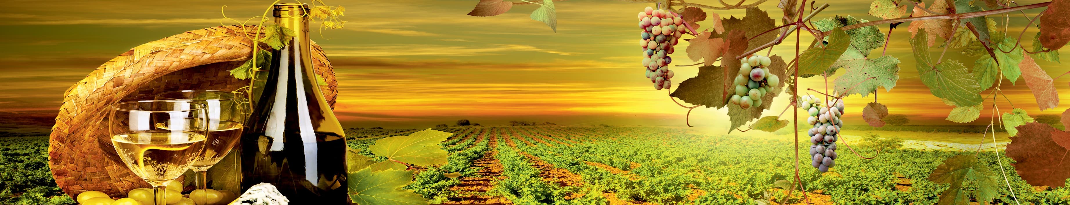 <span  class="uc_style_uc_tiles_grid_image_elementor_uc_items_attribute_title" style="color:#ffffff;">skinali-4232</span>