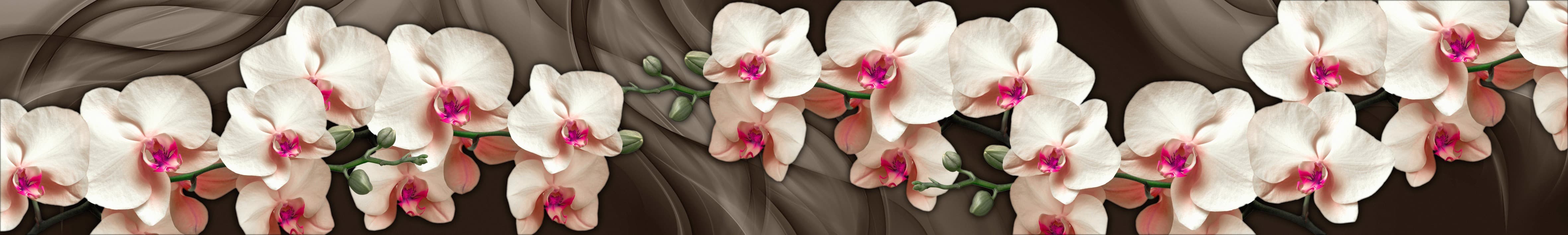 <span  class="uc_style_uc_tiles_grid_image_elementor_uc_items_attribute_title" style="color:#ffffff;">skinali-4273</span>