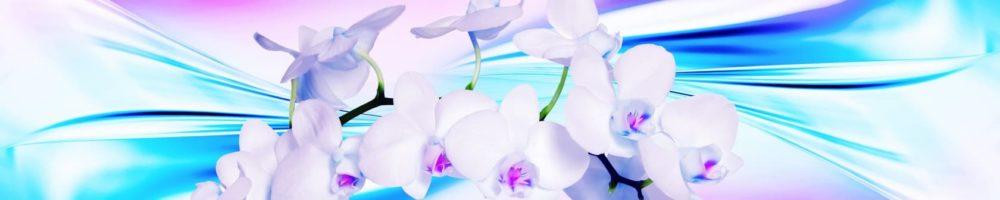 <span  class="uc_style_uc_tiles_grid_image_elementor_uc_items_attribute_title" style="color:#ffffff;">skinali-4294</span>