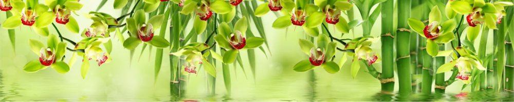 <span  class="uc_style_uc_tiles_grid_image_elementor_uc_items_attribute_title" style="color:#ffffff;">skinali-4398</span>
