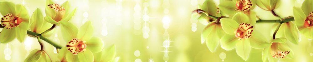 <span  class="uc_style_uc_tiles_grid_image_elementor_uc_items_attribute_title" style="color:#ffffff;">skinali-4399</span>