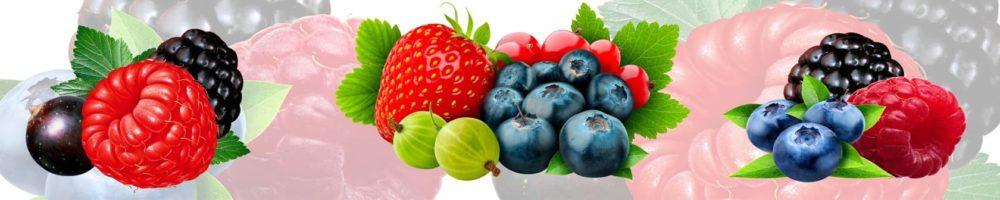 <span  class="uc_style_uc_tiles_grid_image_elementor_uc_items_attribute_title" style="color:#ffffff;">skinali-4426</span>
