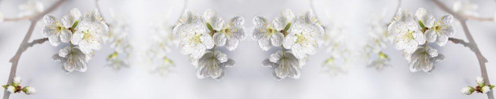 <span  class="uc_style_uc_tiles_grid_image_elementor_uc_items_attribute_title" style="color:#ffffff;">skinali-4580</span>