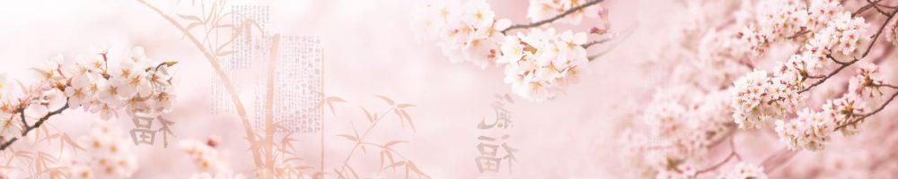 <span  class="uc_style_uc_tiles_grid_image_elementor_uc_items_attribute_title" style="color:#ffffff;">skinali-4620</span>