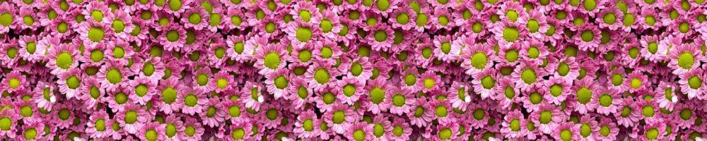 <span  class="uc_style_uc_tiles_grid_image_elementor_uc_items_attribute_title" style="color:#ffffff;">skinali-4681</span>