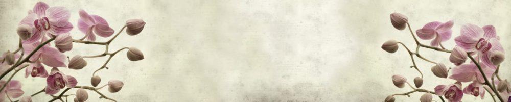 <span  class="uc_style_uc_tiles_grid_image_elementor_uc_items_attribute_title" style="color:#ffffff;">skinali-4744</span>
