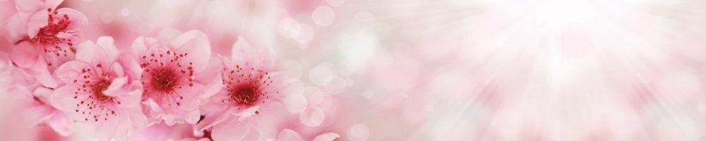 <span  class="uc_style_uc_tiles_grid_image_elementor_uc_items_attribute_title" style="color:#ffffff;">skinali-4746</span>