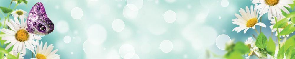 <span  class="uc_style_uc_tiles_grid_image_elementor_uc_items_attribute_title" style="color:#ffffff;">skinali-4754</span>