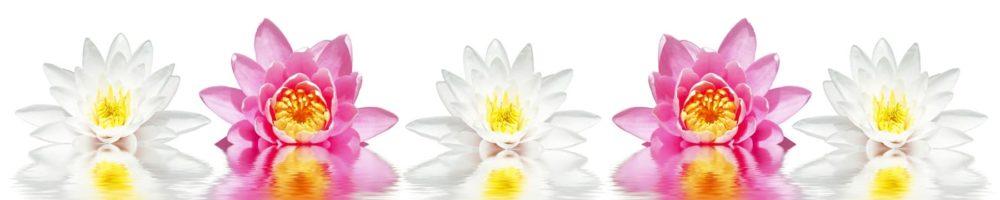 <span  class="uc_style_uc_tiles_grid_image_elementor_uc_items_attribute_title" style="color:#ffffff;">skinali-4764</span>