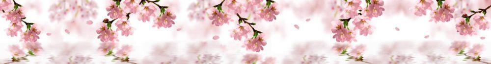 <span  class="uc_style_uc_tiles_grid_image_elementor_uc_items_attribute_title" style="color:#ffffff;">skinali-4778</span>