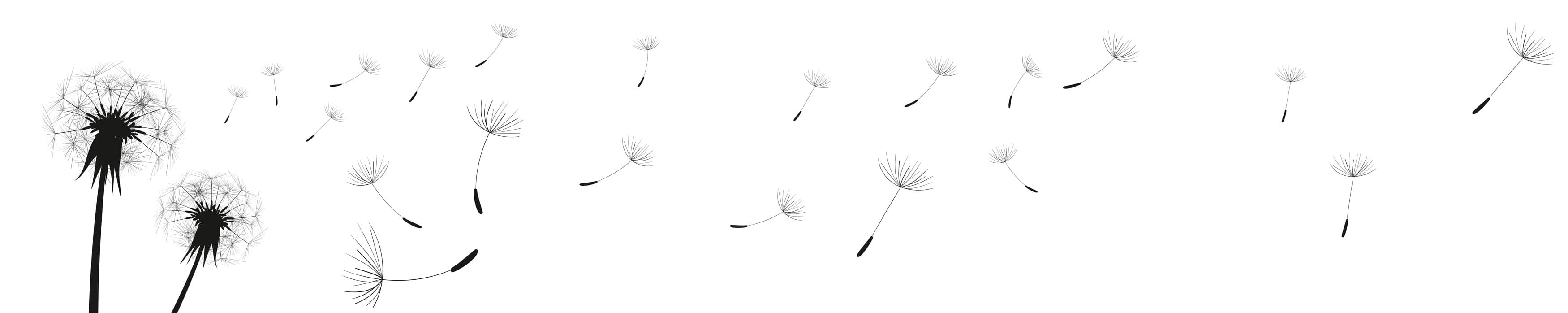 <span  class="uc_style_uc_tiles_grid_image_elementor_uc_items_attribute_title" style="color:#ffffff;">skinali-4803</span>