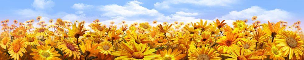 <span  class="uc_style_uc_tiles_grid_image_elementor_uc_items_attribute_title" style="color:#ffffff;">skinali-4833</span>